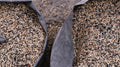CT-BAS-1 — aromatic rice for export