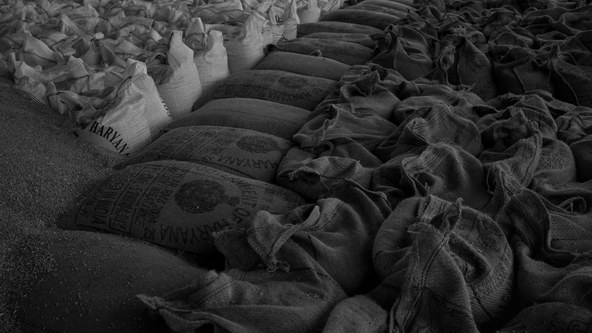 CT-WGB-MIX — brown & whole grain rice for export