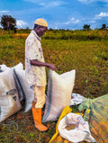 CT-PBL-GLD — parboiled rice for export