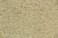 CT-PBL-25 — parboiled rice for export