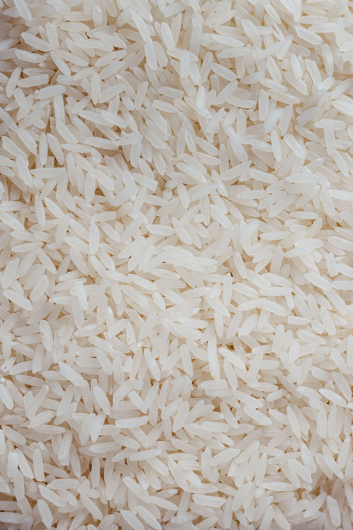 CT-CAL-1 — medium & short grain rice for export