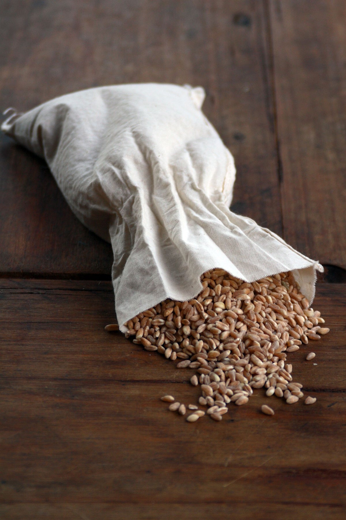 CT-QCK-BRN — brown & whole grain rice for export
